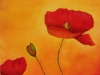 Mohn